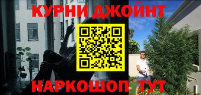 apvp Кунгур