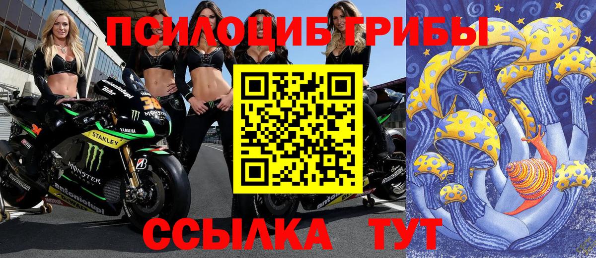 Галлюциногенные грибы Cubensis  Вход с VPN  Тобольск 